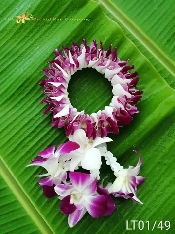 100malai-(3)