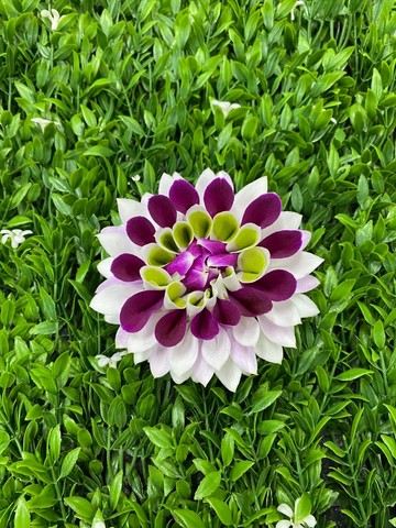 th-11134231-7ra0h-mb9eim27da4h7e