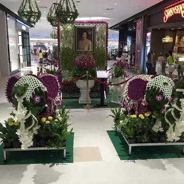 บริการของเรา