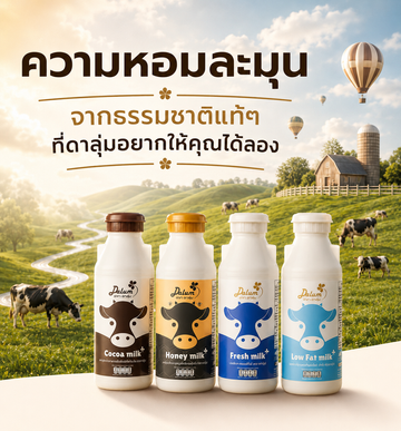 banner-mobile3