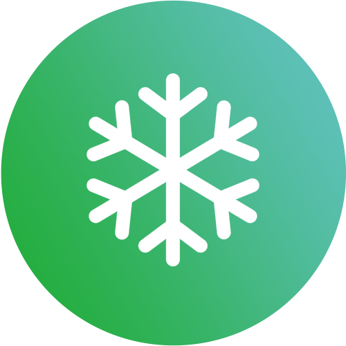Vitrification-freezing-system