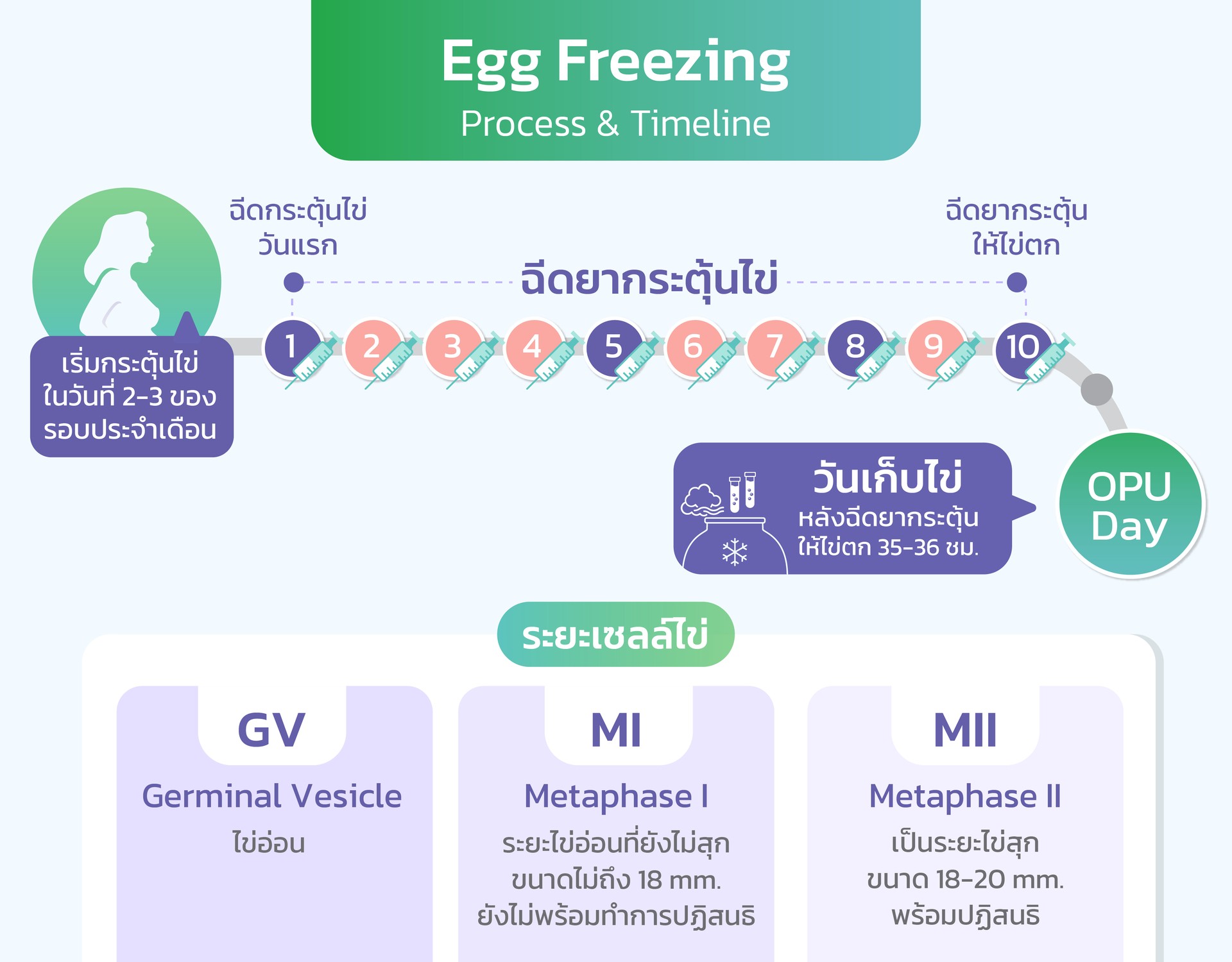 IVFICSI&PGTProcess&Timeline-02