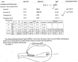 ไม่มีชื่อ