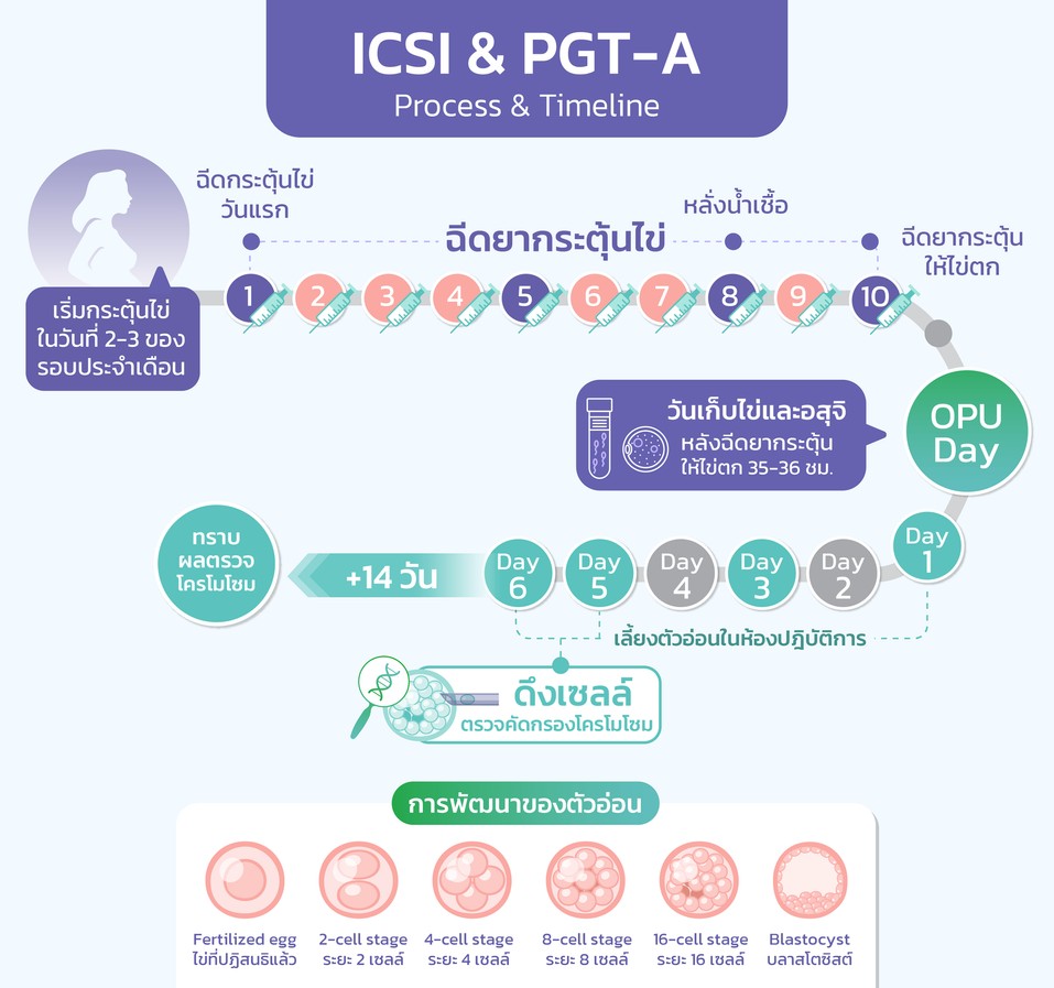 IVFICSI&PGTProcess&Timeline-01