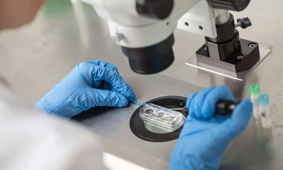 LRC Fertility Clinic Embryo Laboratory 第三代试管婴儿胚胎筛查技术