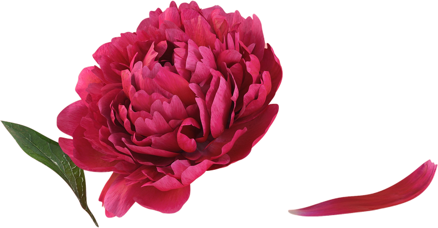 flower(4)