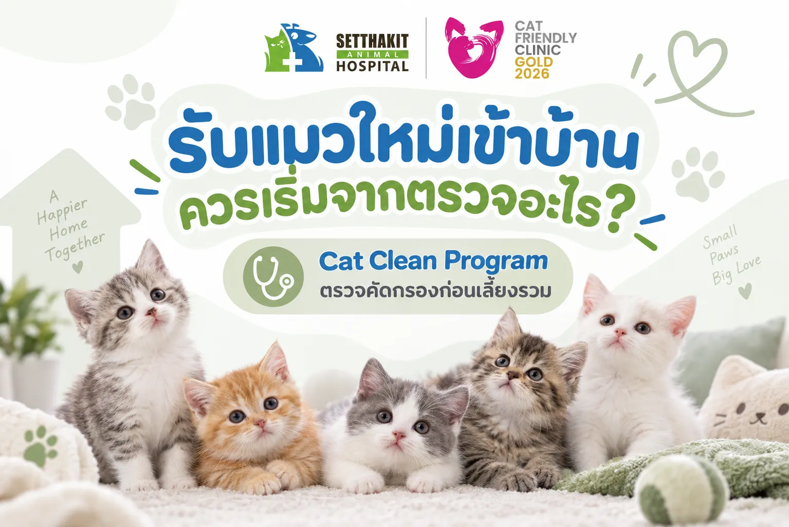 CatCleanprogram