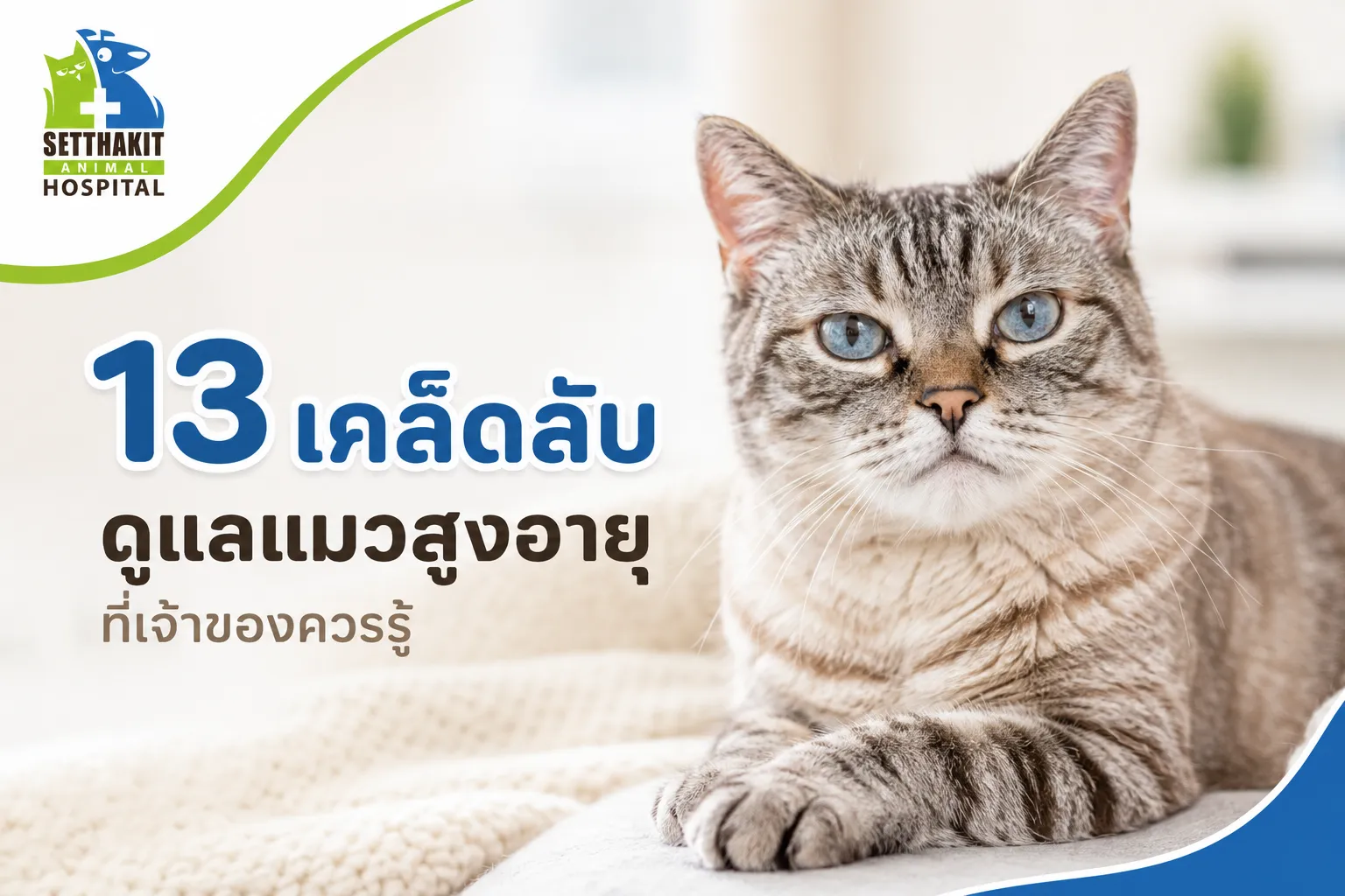 ChatGPTImage18พ