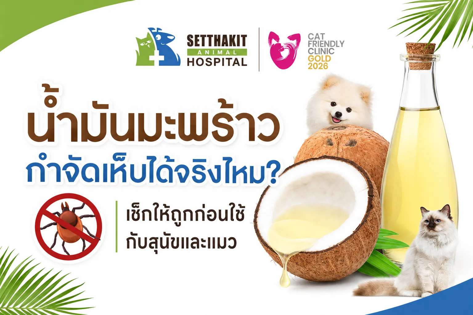 ChatGPTImage3ก