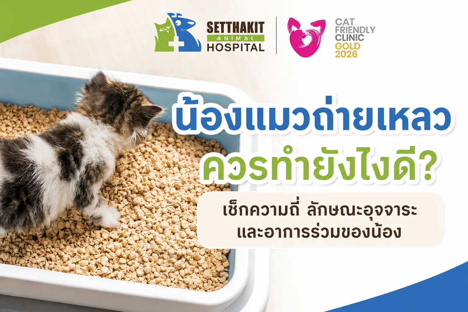 ChatGPTImage3ก