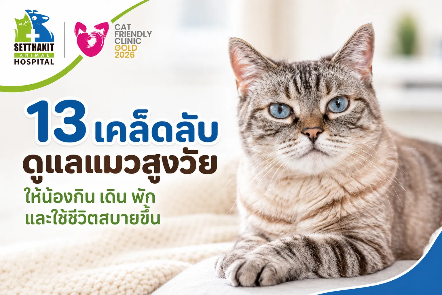 ChatGPTImage9ก