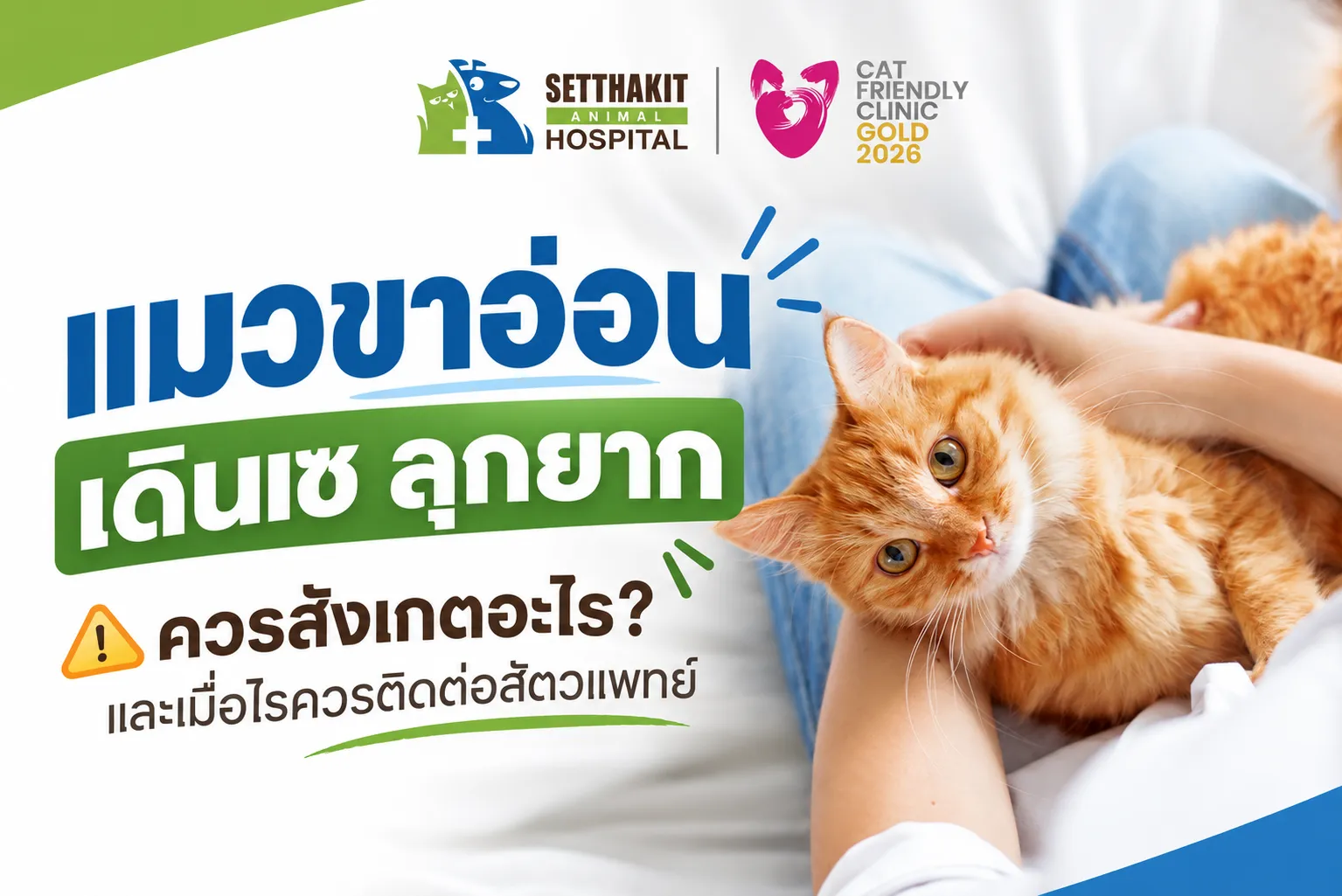 ChatGPTImage9ก