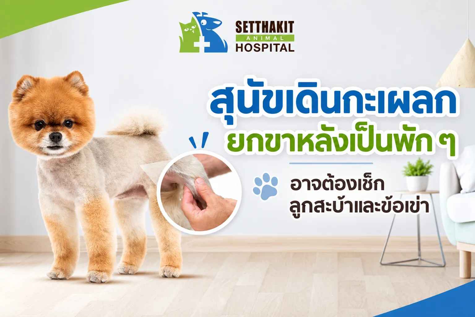 ChatGPTImage9ก