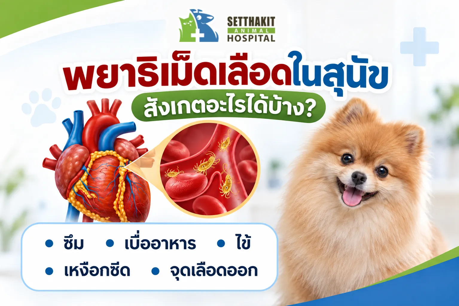 ChatGPTImage9ก