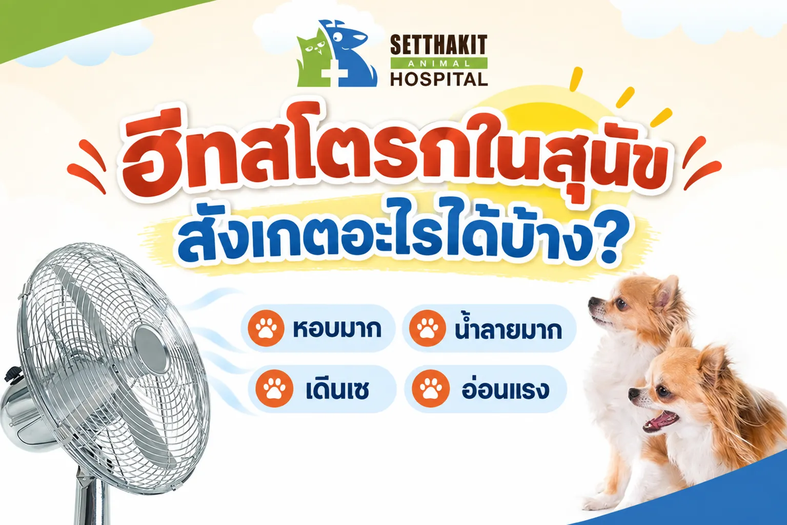 ChatGPTImage9ก