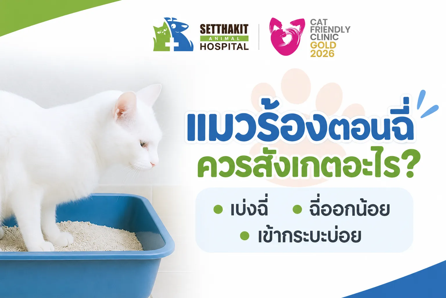 ChatGPTImage9ก