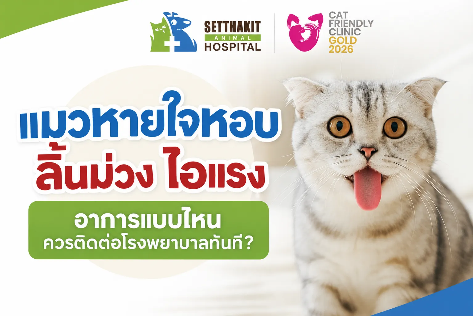 ChatGPTImage9ก