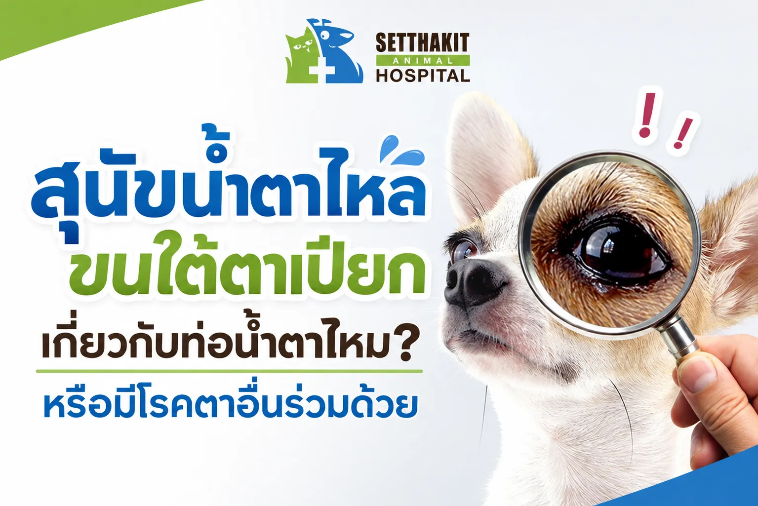 ChatGPTImage9ก