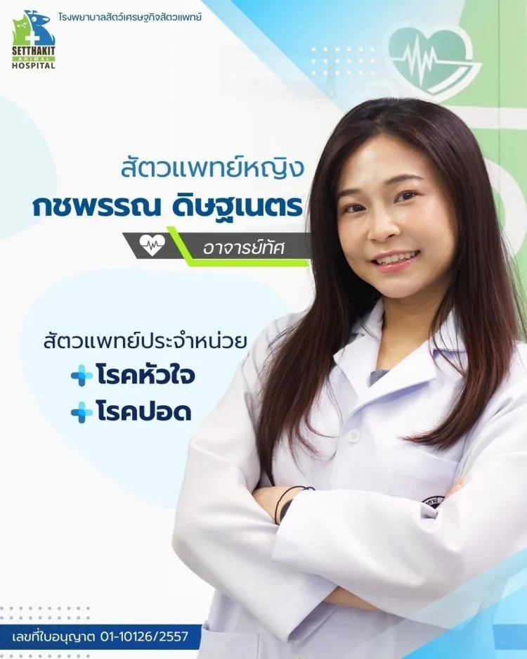 ทีมสัตวแพทย์(10)