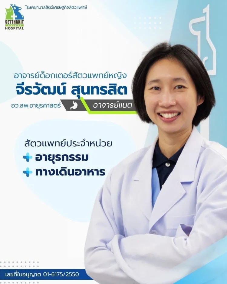 ทีมสัตวแพทย์(12)