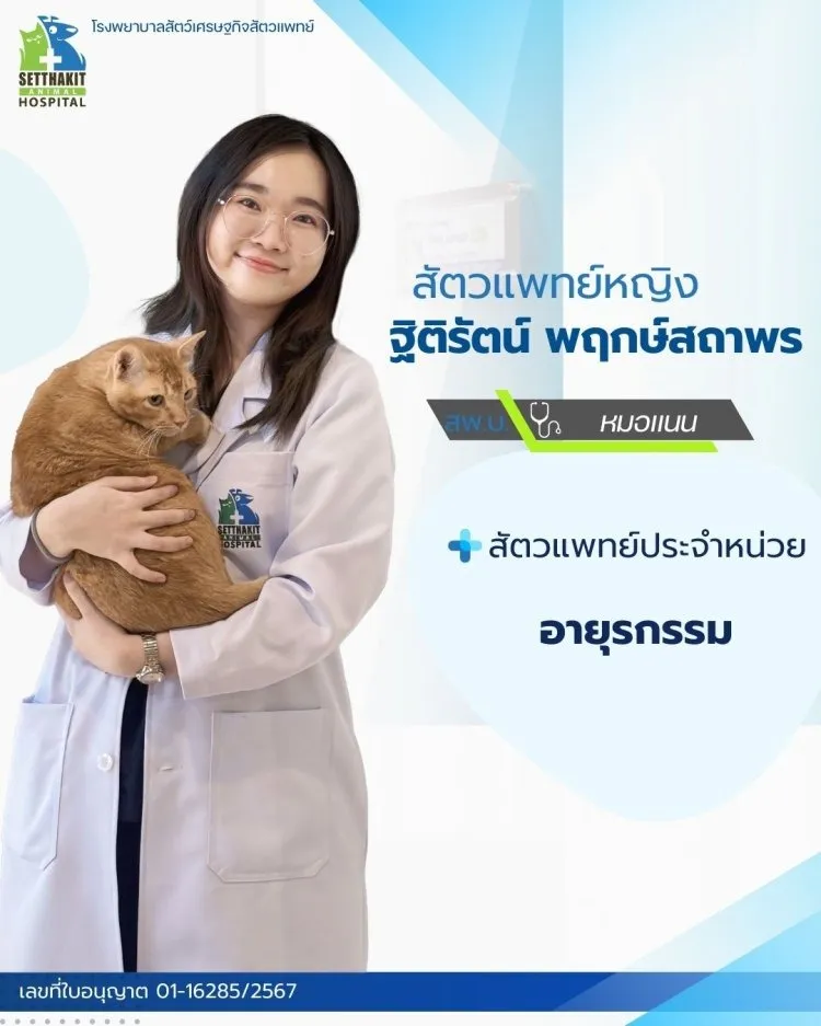 ทีมสัตวแพทย์(16)
