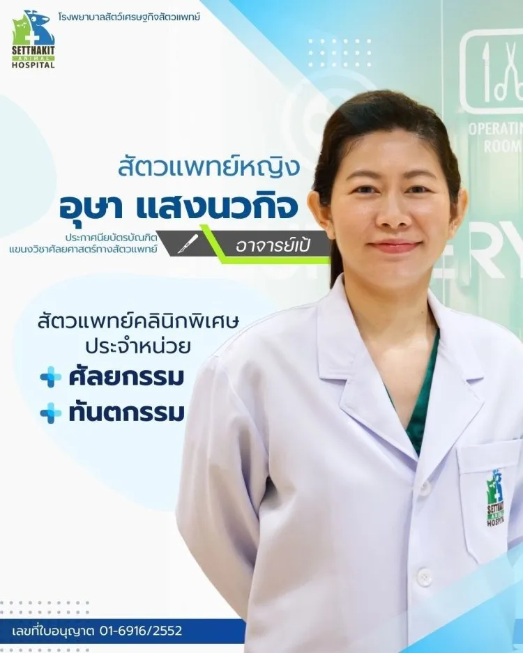 ทีมสัตวแพทย์(4)