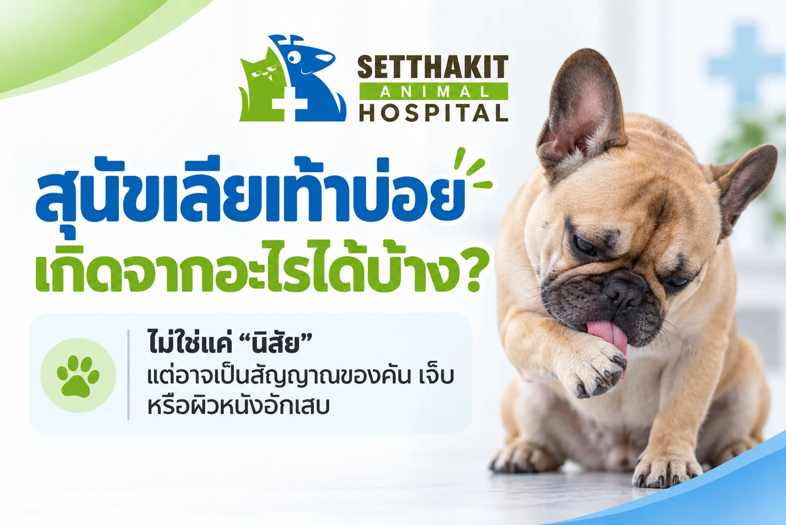 สุนัขเลียเท้าบ่อยเกิดจากอะไรได้บ้าง