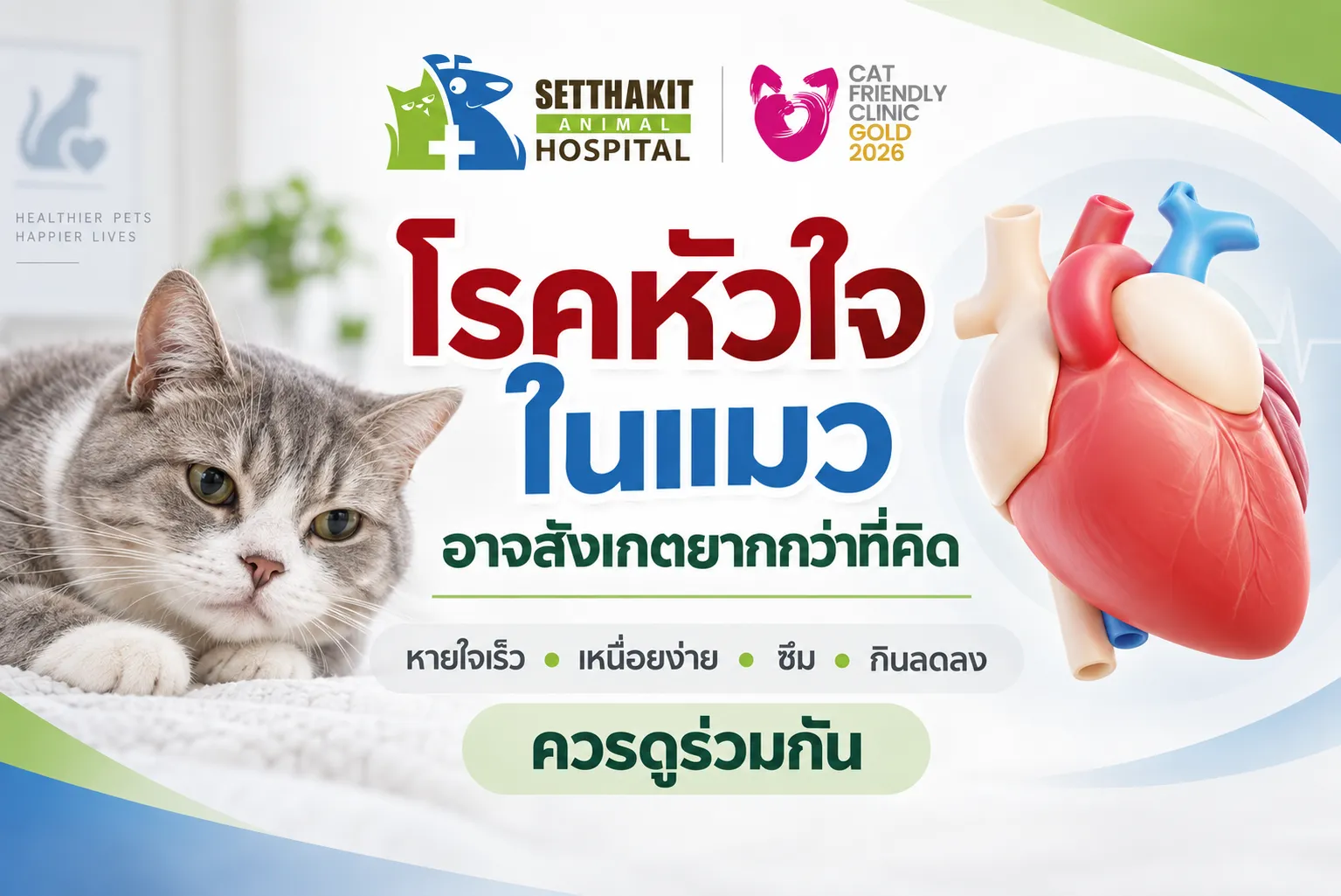 โรคหัวใจในแมว