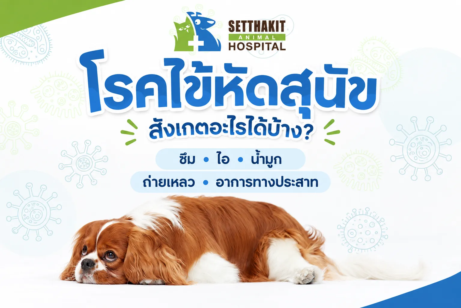 ไข้หัดสุนัข