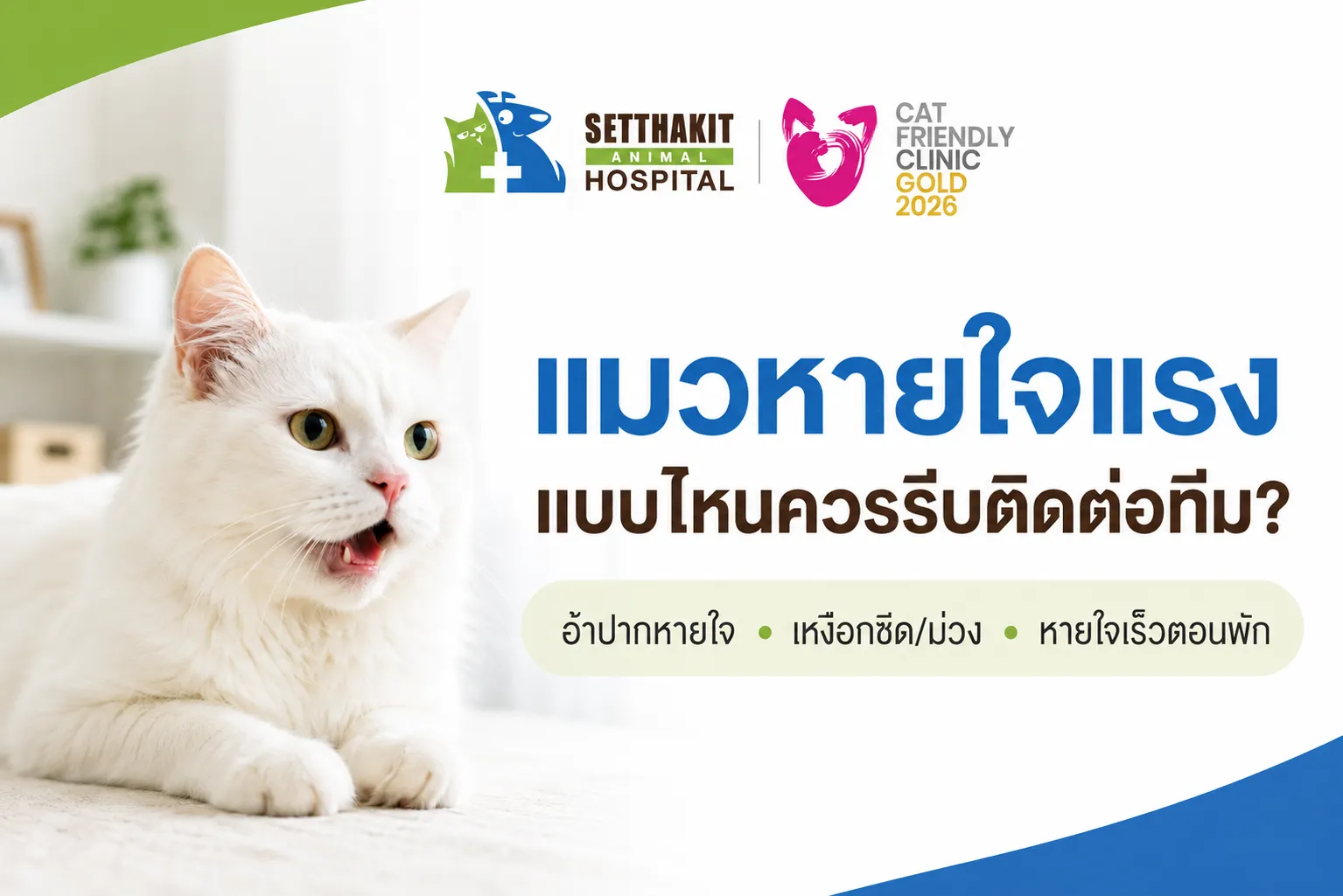 ChatGPTImage3ก