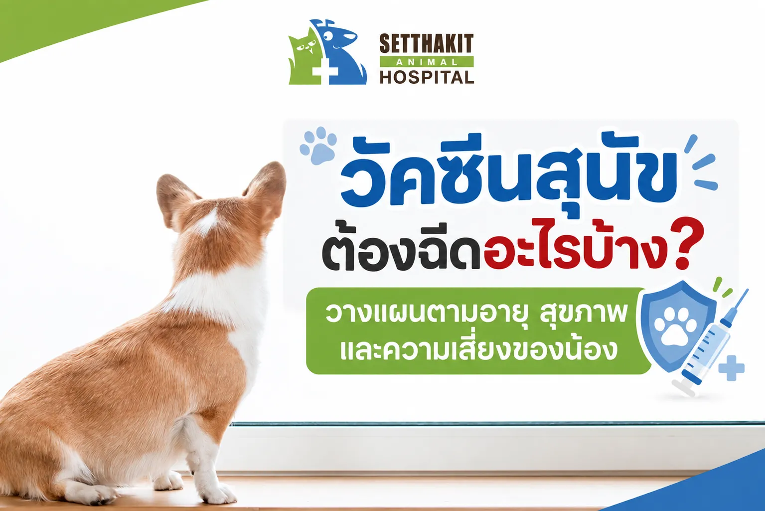 ChatGPTImage9ก
