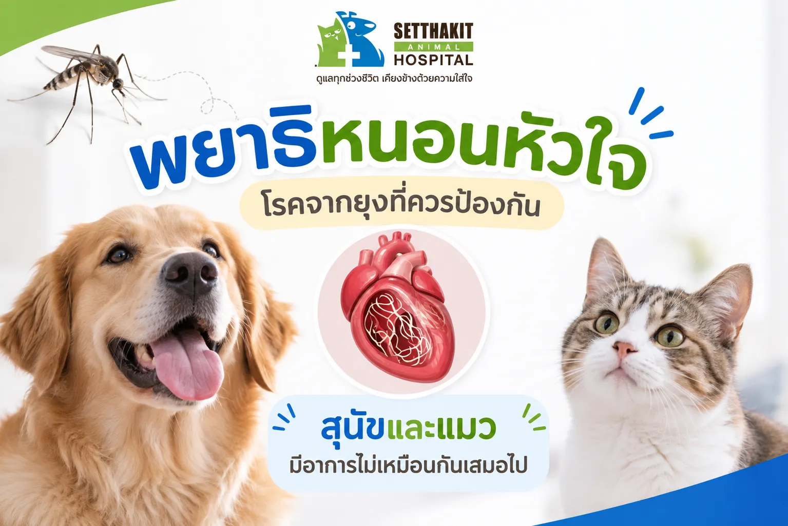 ChatGPTImage9ก