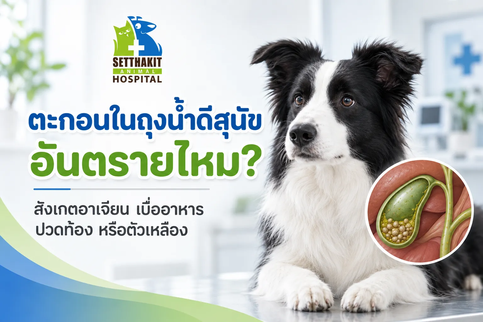 ChatGPTImage9ก