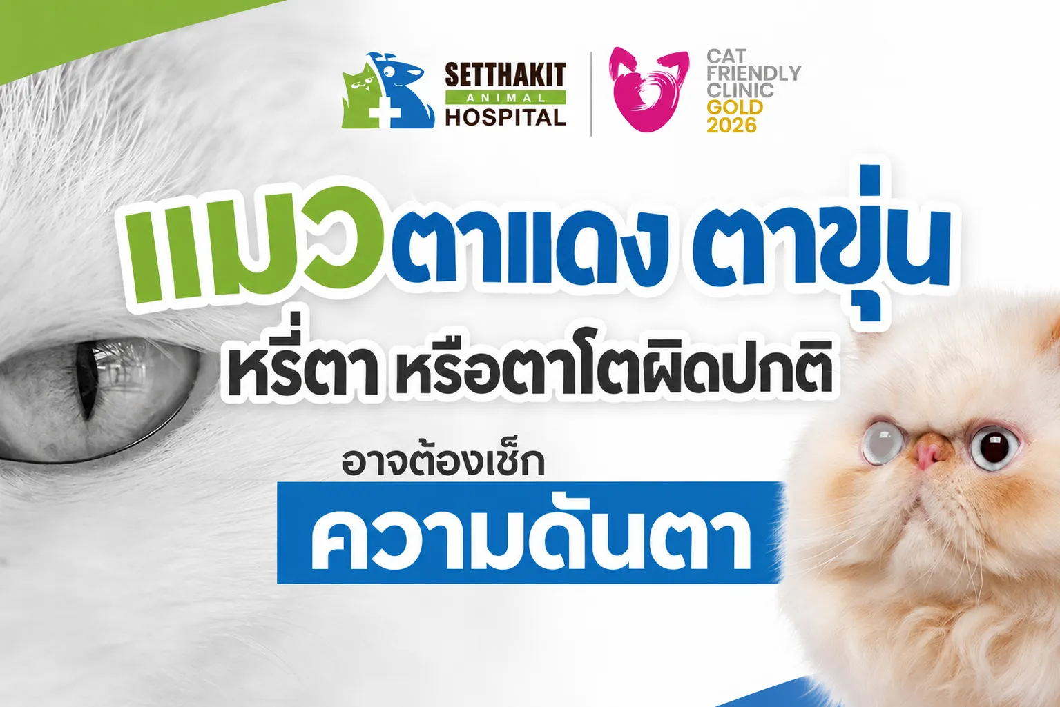 ChatGPTImage9ก
