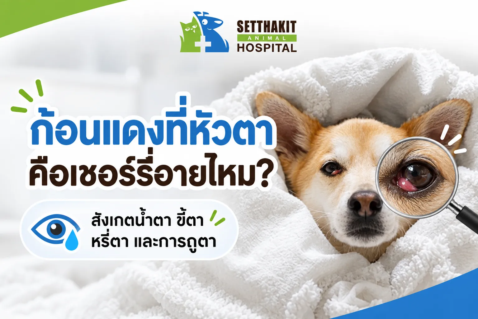 ChatGPTImage9ก
