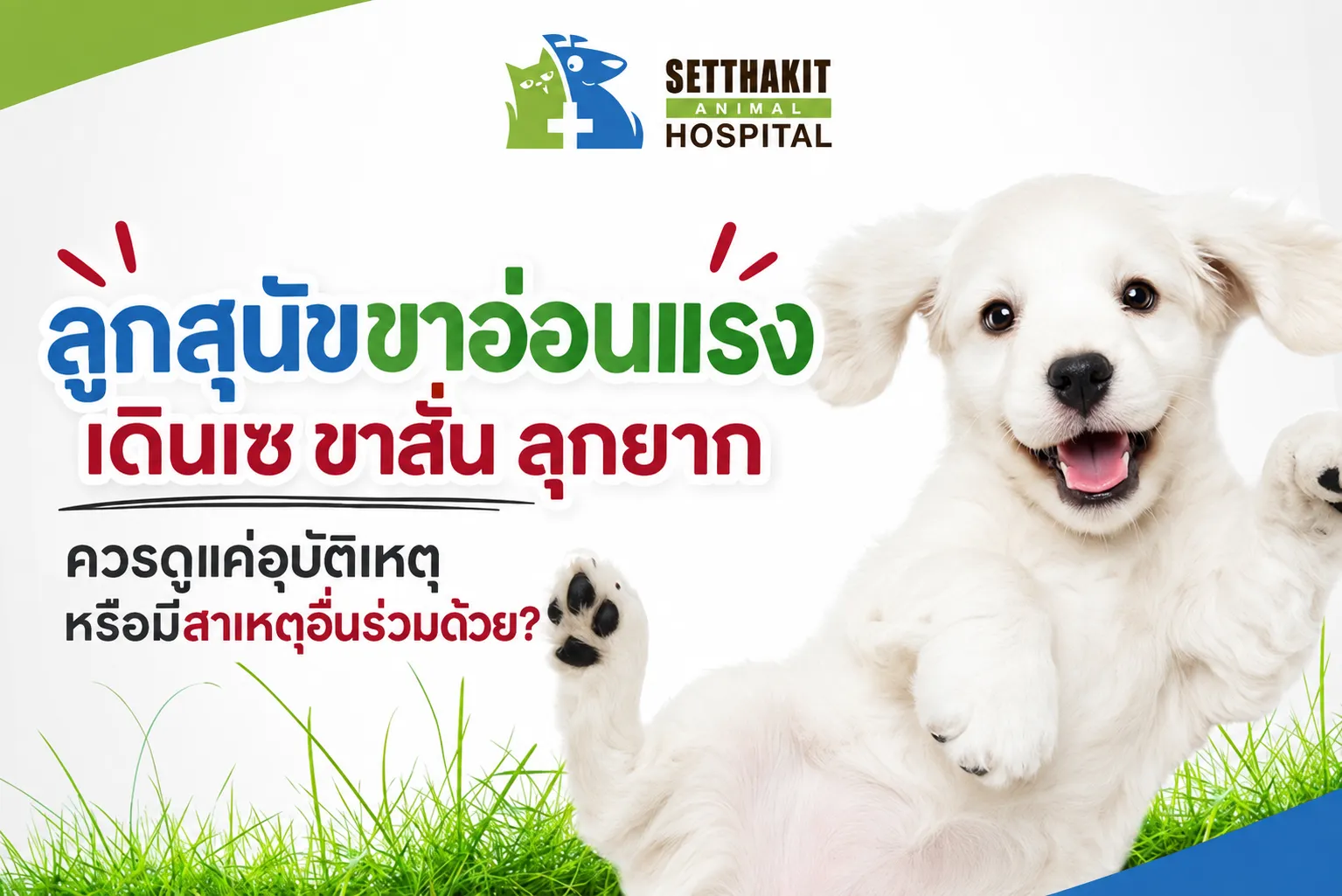 ChatGPTImage9ก