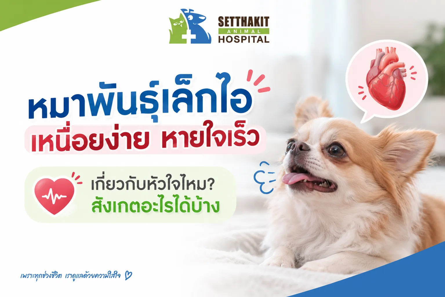 ChatGPTImage9ก