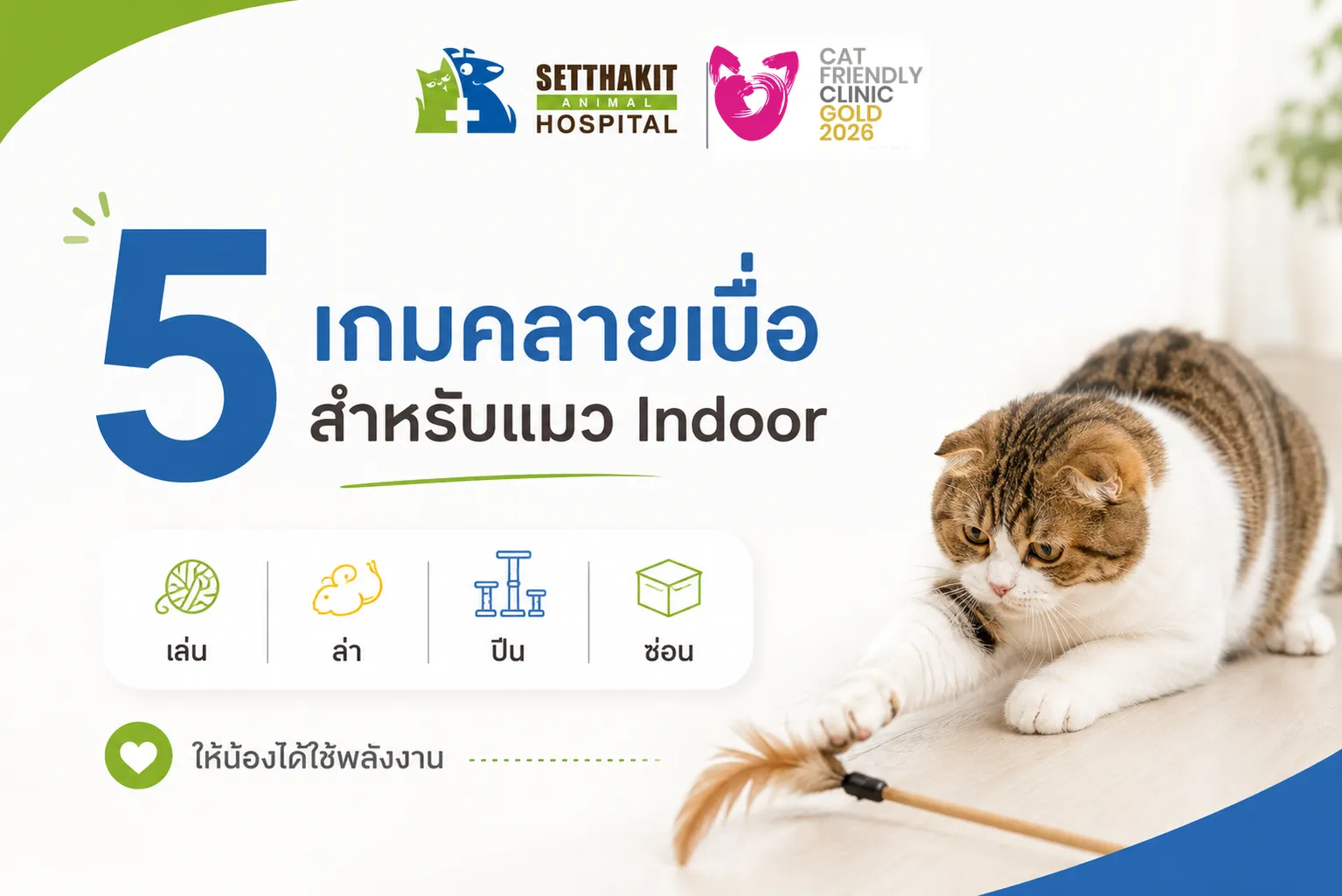 indoor-cat-games-cfc-logo-corrected