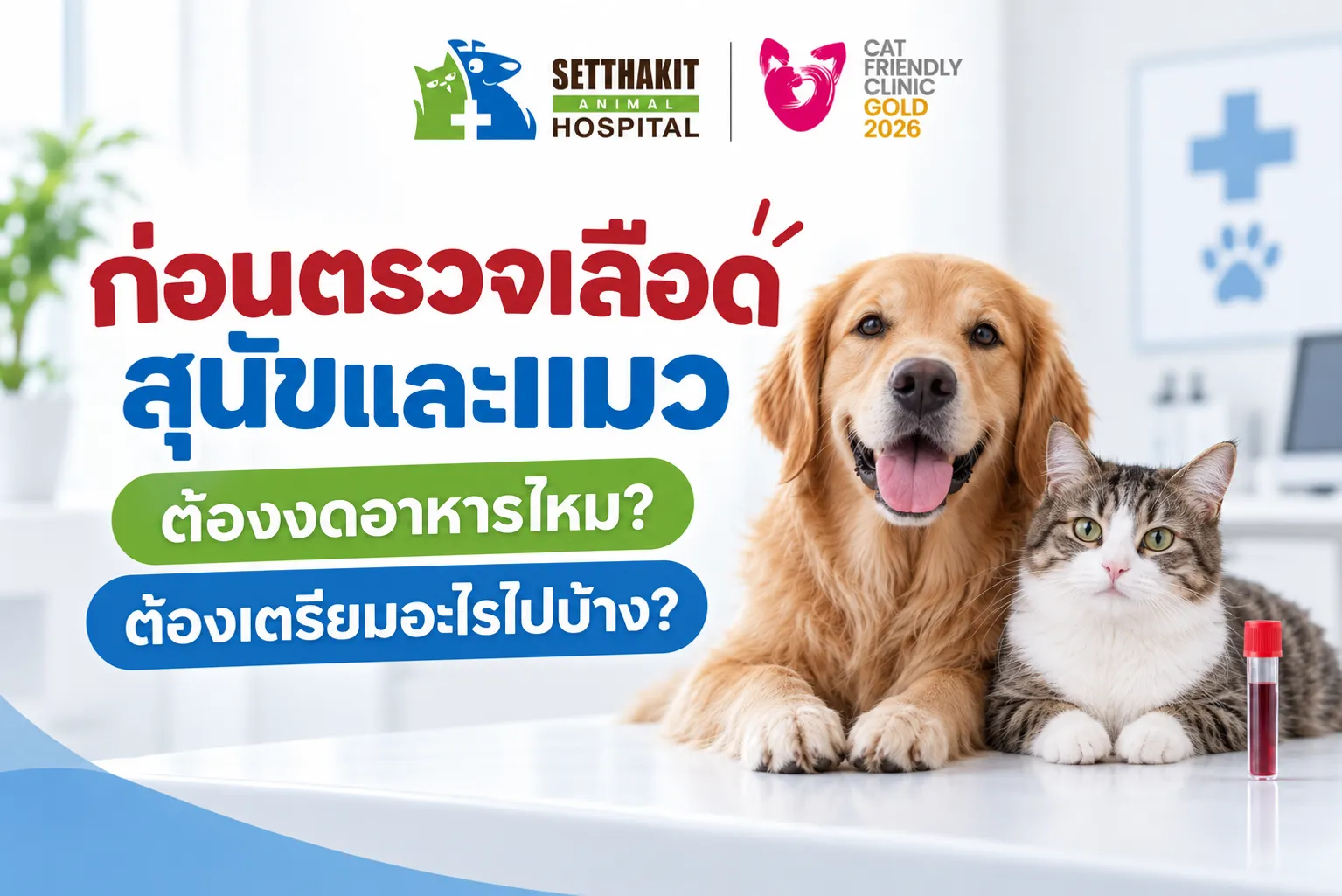 ตรวจเลือดหมาแมว