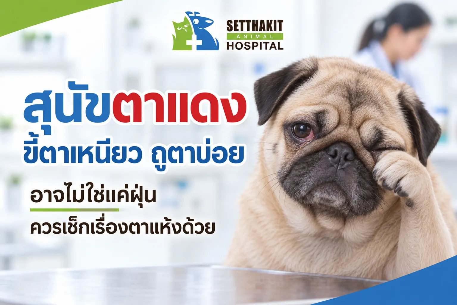ตาแห้งในสุนัข