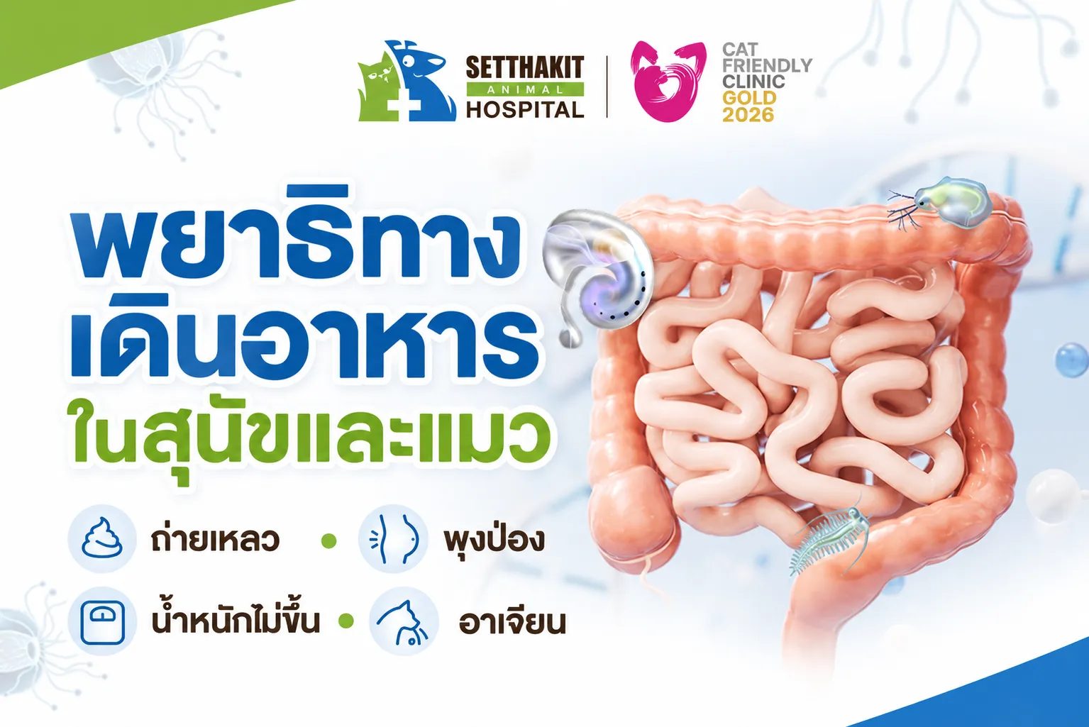 พยาธิทางเดินอาหารในหมาแมว
