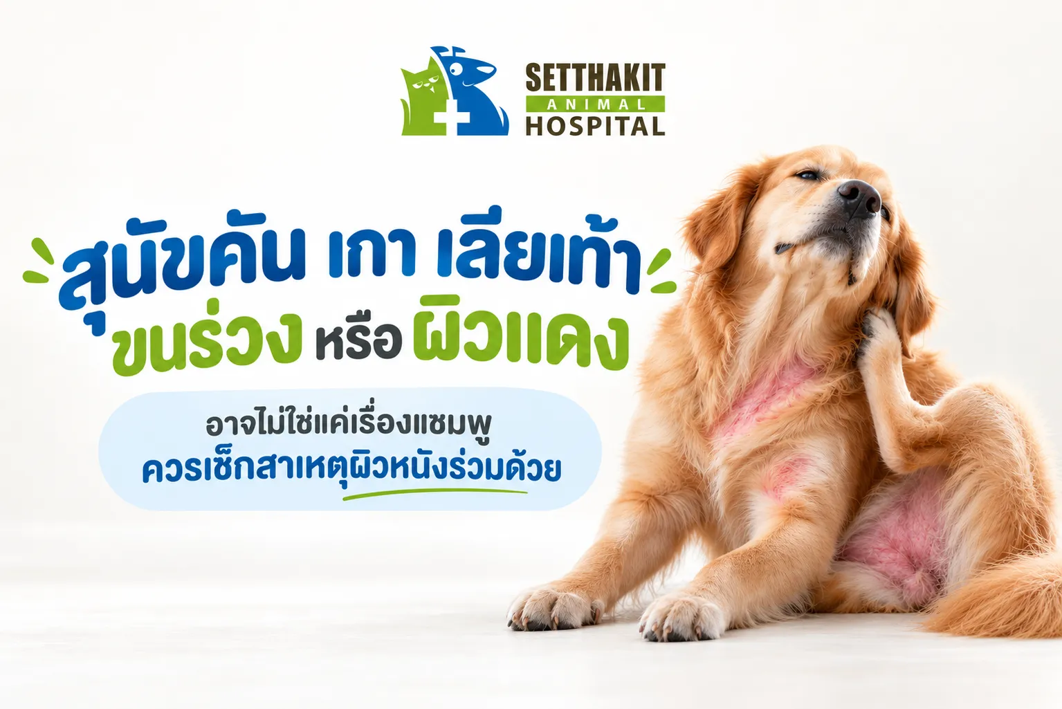 สุนัขคันเกา