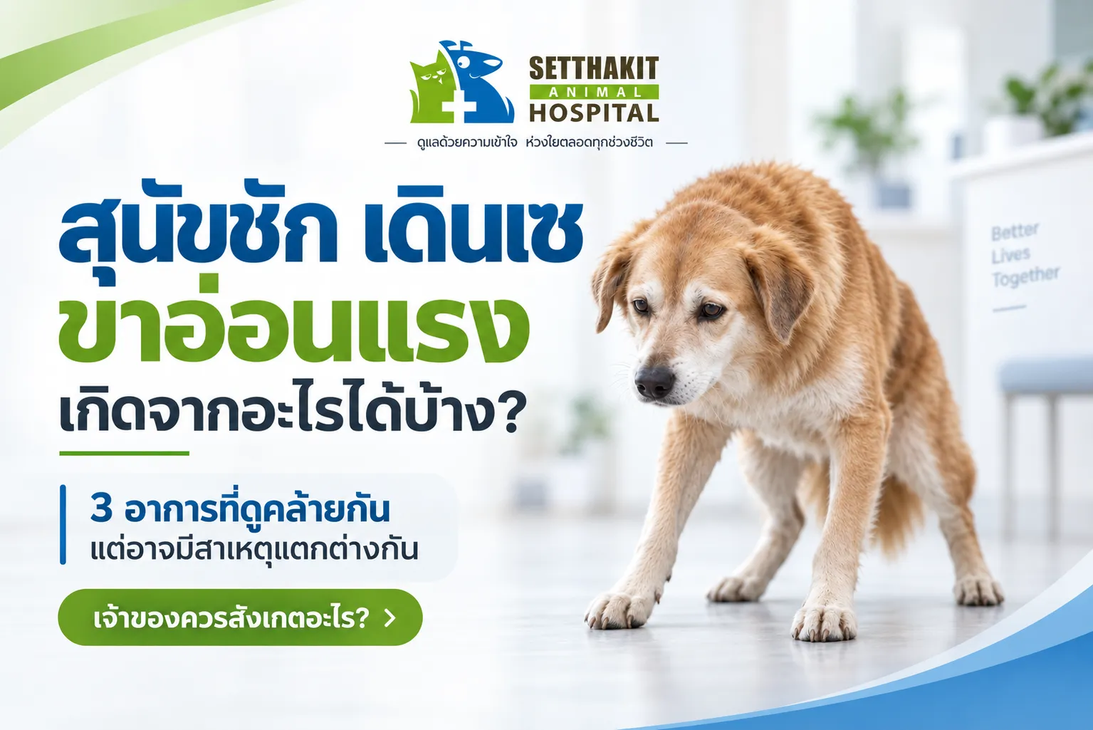 สุนัขชักเดินเซขาอ่อนแรงเกิดจากอะไร