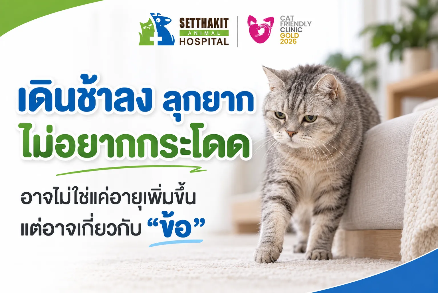 เดินช้าลงลุกยากข้ออักเสบ