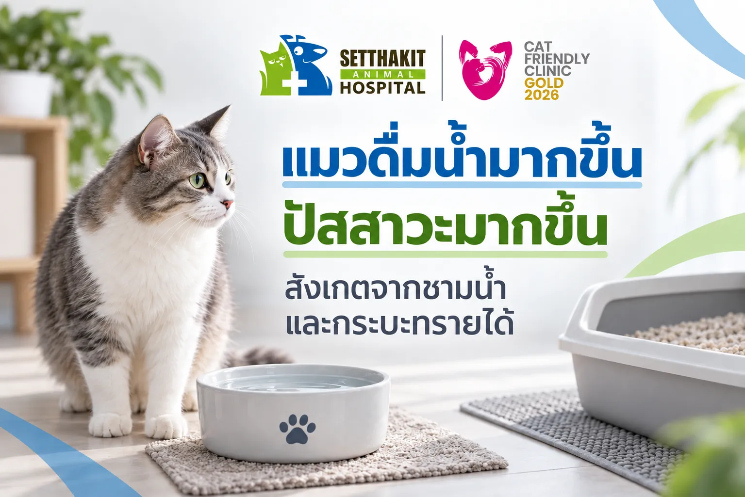 แมวดื่มน้ำมาก