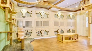2-โรงแรมแมว-