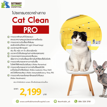 CatCleanPro