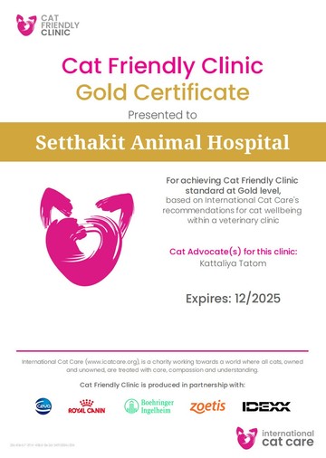 certificate21536083494041