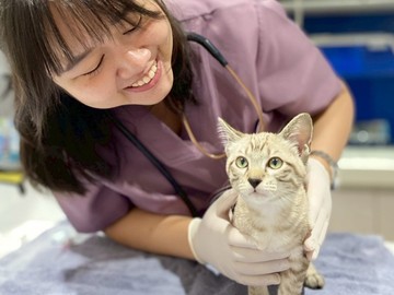 setthakitanimalhospital1