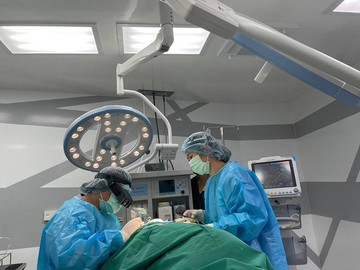 setthakitanimalhospital1